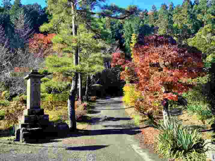 秩父札所三十番法雲寺の入口