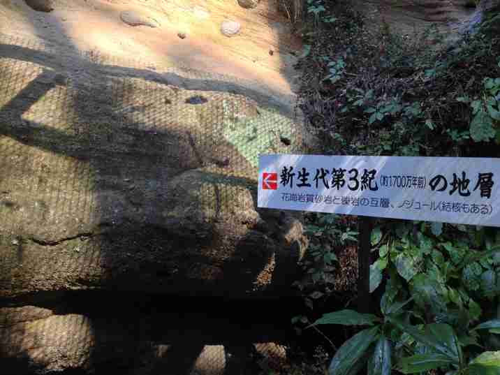 札所三十一番観音院の１７００年前の地層