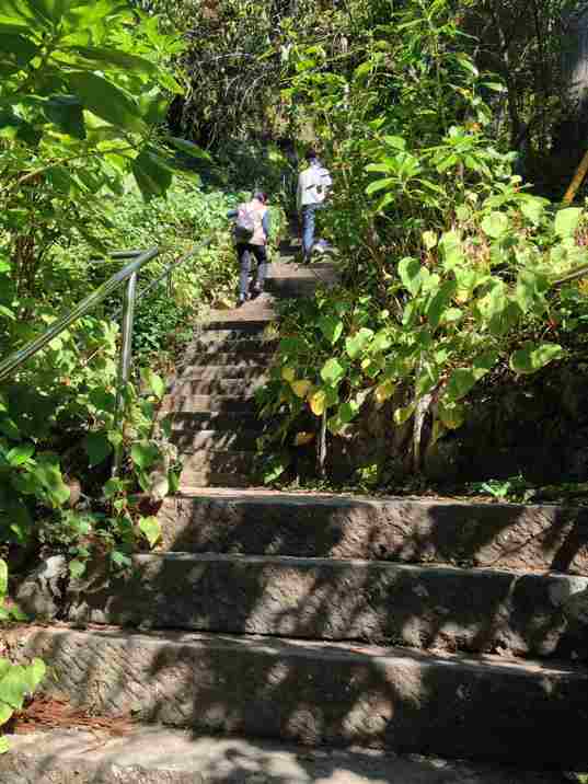 秩父札所三十一番観音院の石段